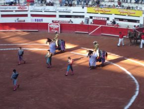 Nuevo León prohíbe las corridas de toros y peleas de gallos