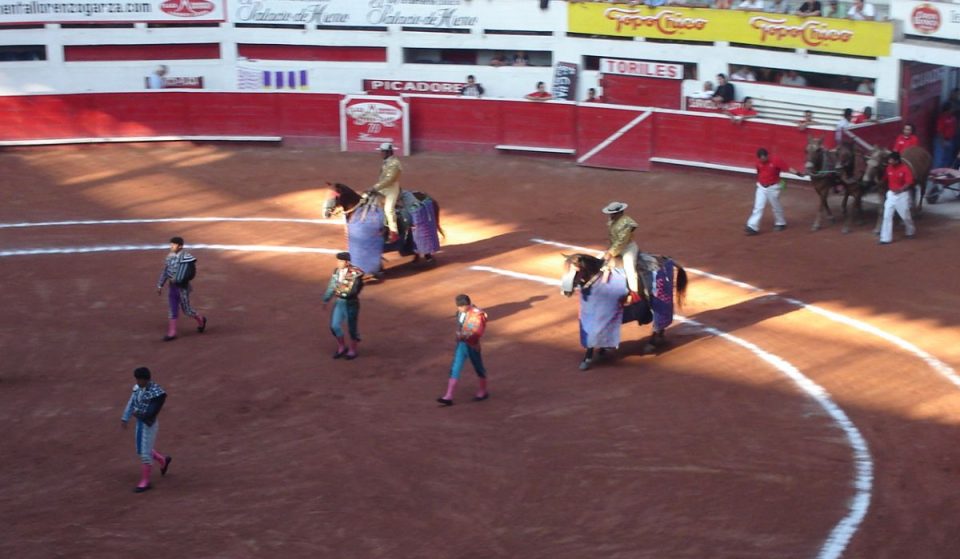 Nuevo León prohíbe las corridas de toros y peleas de gallos