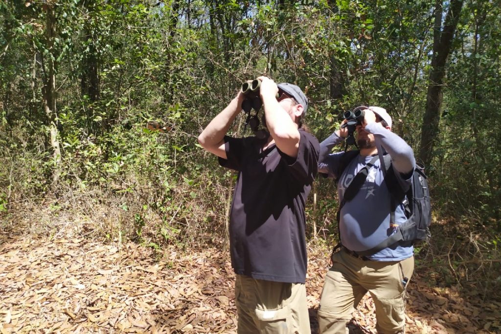 Lánzate un fin de semana a ver aves con Kingfisher Birdwatching