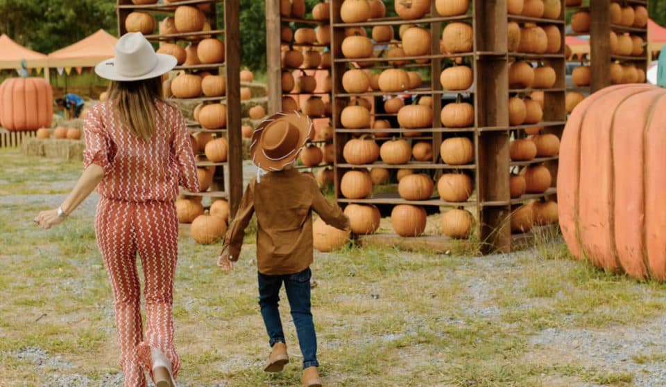 Pumpkin Dash: ¡Regresa el festival temático de otoño!