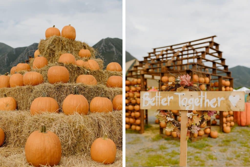 Pumpkin Dash: descubre este festival temático del otoño