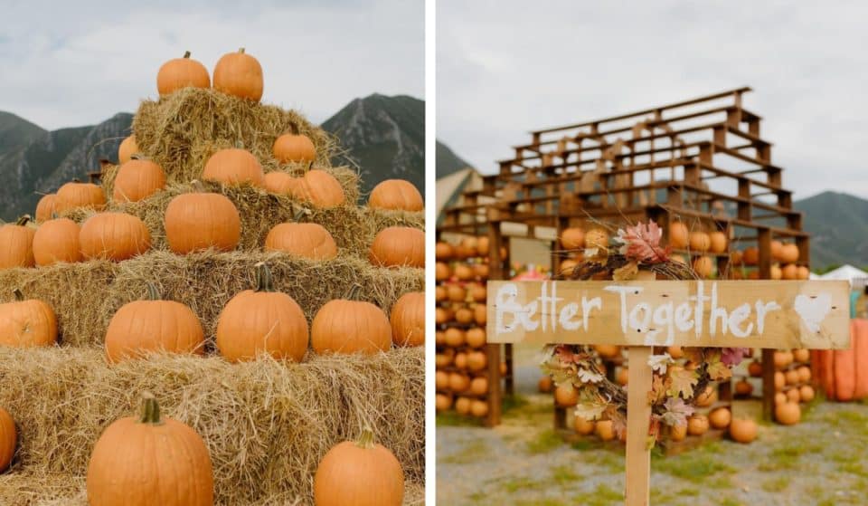 Pumpkin Dash: descubre este festival temático del otoño